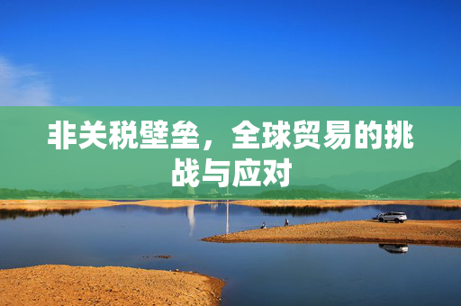 非关税壁垒，全球贸易的挑战与应对