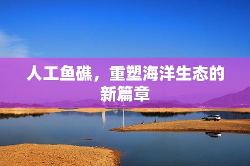 人工鱼礁，重塑海洋生态的新篇章