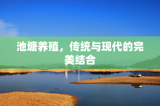 池塘养殖，传统与现代的完美结合
