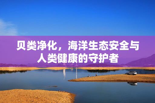 贝类净化，海洋生态安全与人类健康的守护者