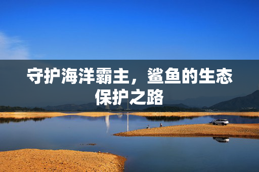 守护海洋霸主，鲨鱼的生态保护之路