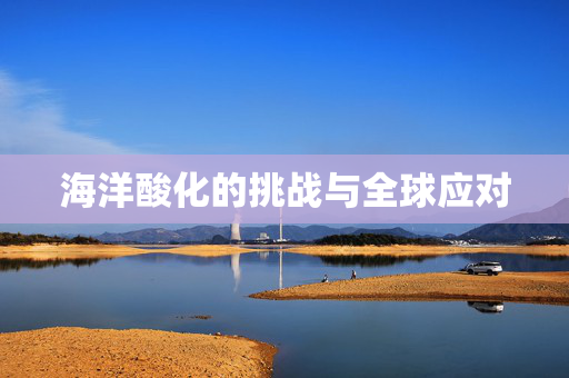 海洋酸化的挑战与全球应对