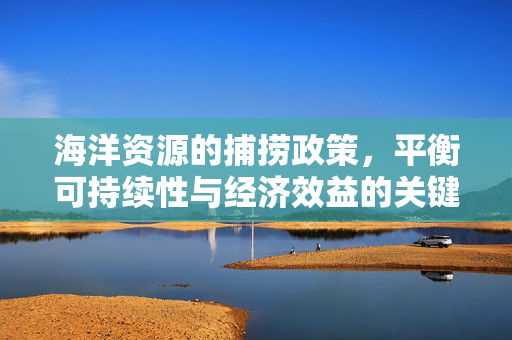 海洋资源的捕捞政策，平衡可持续性与经济效益的关键路径