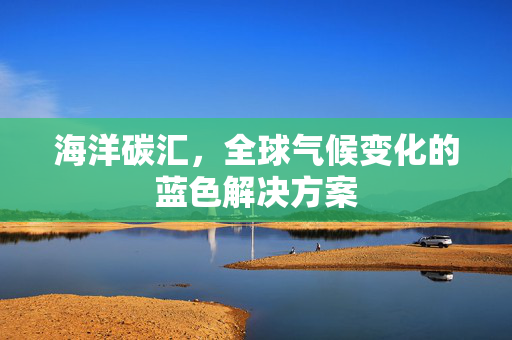 海洋碳汇，全球气候变化的蓝色解决方案