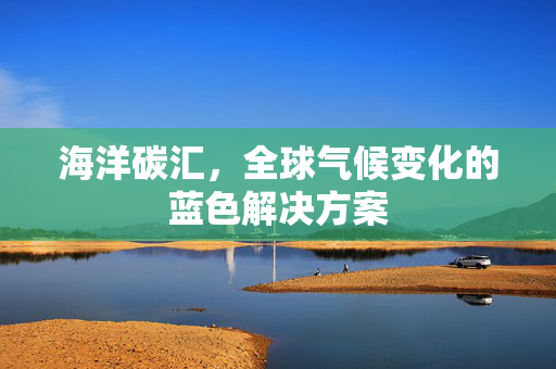 海洋碳汇，全球气候变化的蓝色解决方案