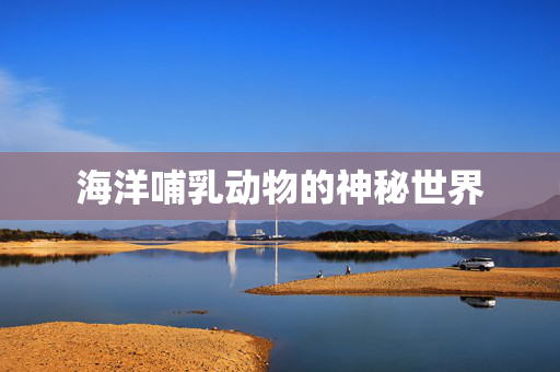 海洋哺乳动物的神秘世界