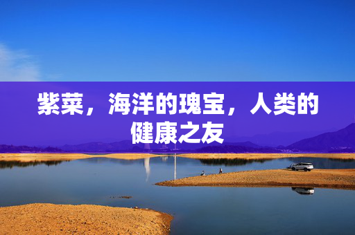 紫菜，海洋的瑰宝，人类的健康之友