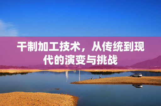 干制加工技术，从传统到现代的演变与挑战